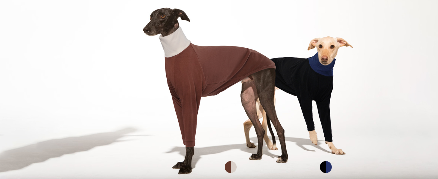 Пуловер для Віндхундів IECOii: теплий, з високим коміром, з флісу, чорний, XS