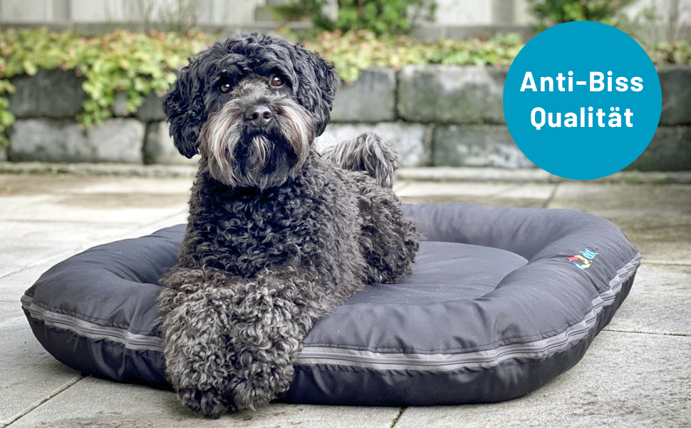 Ортопедична подушка для собак Luna S: 70x55 см, бежева. Зносостійка, для маленьких собак, для саду та дому. Можна прати при 60°C, з віскоеластомерної піни.