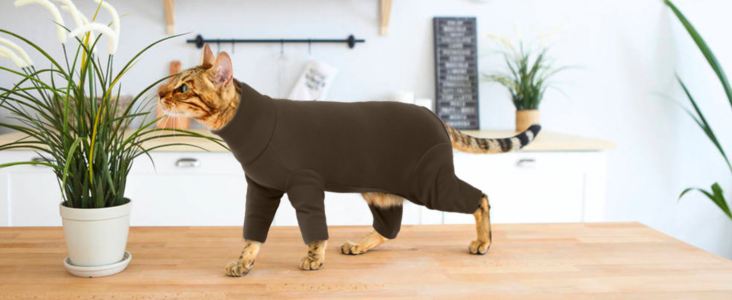 Одяг для котів, пуловер для Sphynx, Cornish Rex, Devon Rex, Peterbal (темно-коричневий, L)