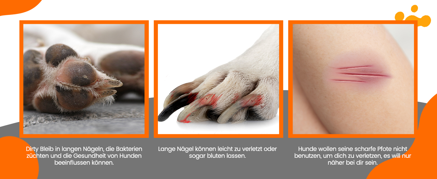 Точилка для кігтів собак Toozey з LED-підсвіткою, тиха (40 дБ), 3 швидкості, акумулятор 7,5 год, USB, для котів та собак