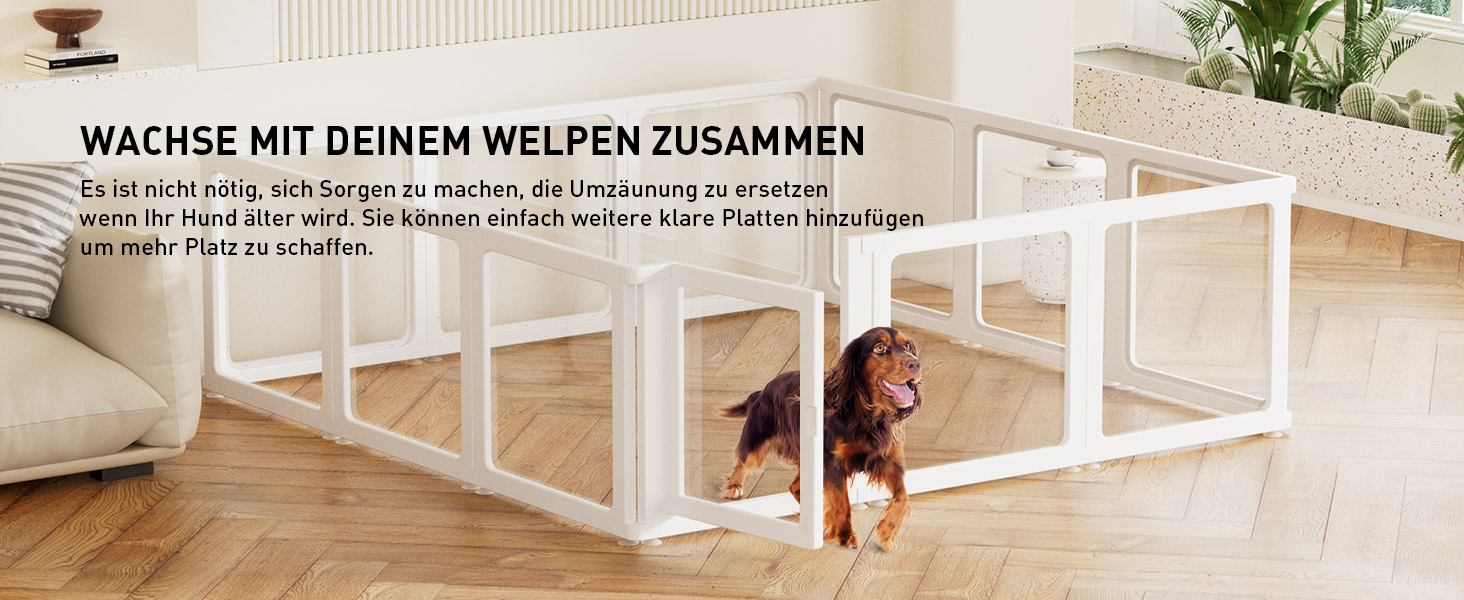 Вольєр для собак Citylife 8-TLG, 75 см, розкладний, для собак, котів, кроликів, 120x120x75 см