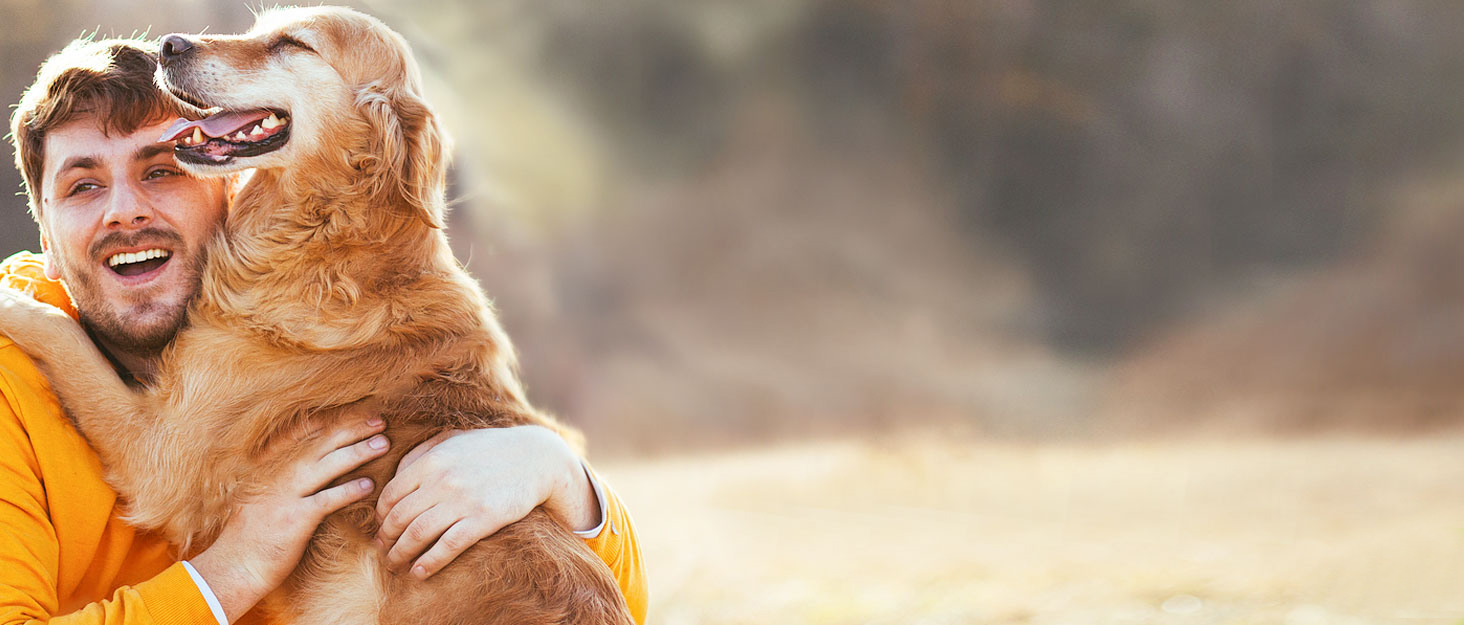 CEASELESLY Миски для собак з нержавіючої сталі, 2 шт по 400 мл, з підставкою з силікону, для собак середніх та малих порід, котів та цуценят, корм для тварин (темно-сірий)