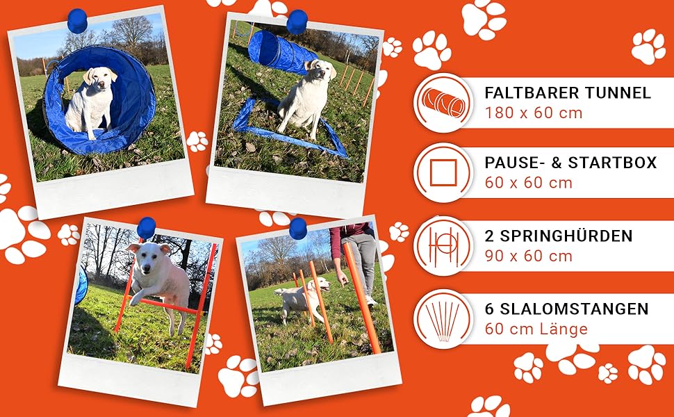 Набір для дресирування собак PfotenGUT® Agility Set [11 предметів] - універсальний набір для аджиліті з тунелем, слаломом та іншим обладнанням для тренування та спорту з собаками - з аксесуарами та сумкою для транспортування (Великий)