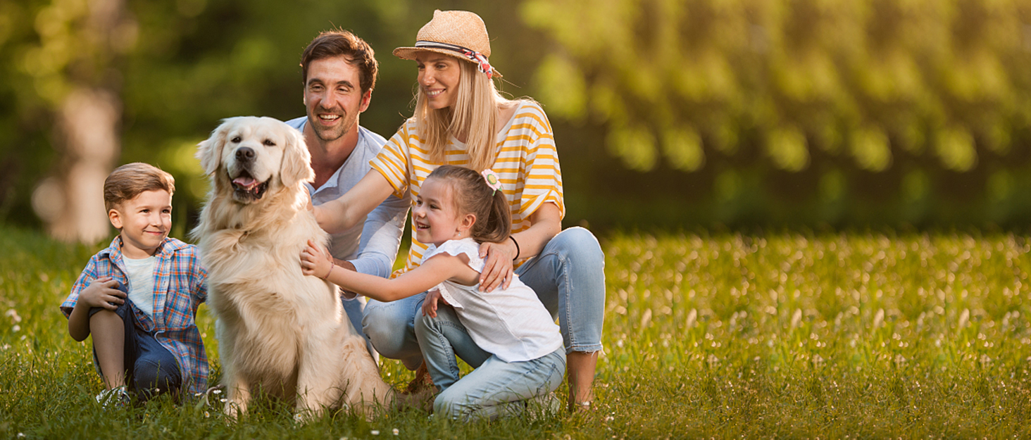 Водонепроникні чоботи для собак (4 шт.) з регульованими ремінцями та світловідбиваючими елементами, для собак малих та середніх порід