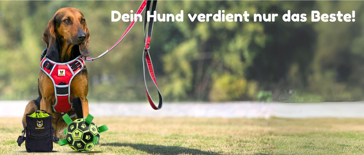 Сумка для корму для собак велика, 4-в-1 для тренувань | З бавовняним ремінцем, кліпсою та петлями | 4 відділення для ласощів (19x14x7 см)