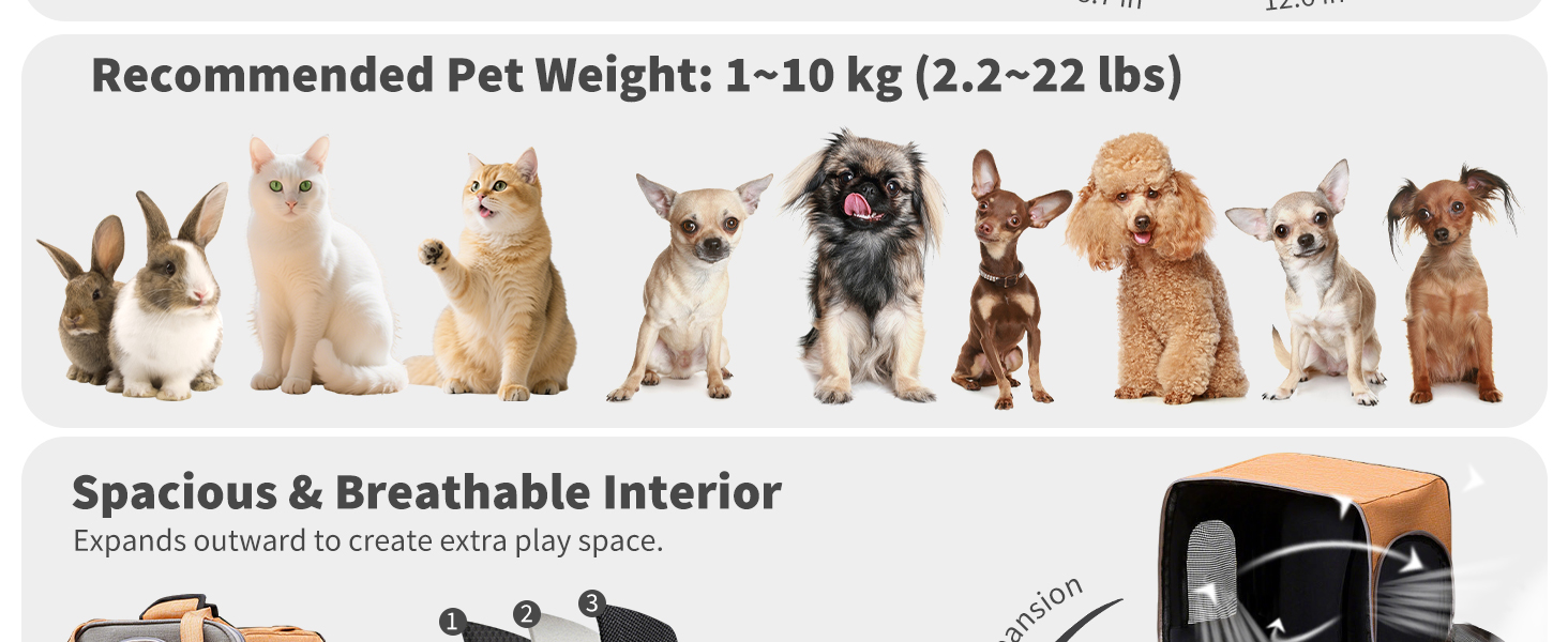 Рюкзак для собак та котів PETCUTE, дихаючий, для маленьких тварин, з відбиваючим ременем, складний, знімний килимок, внутрішній ремінь безпеки, для прогулянок, жовтий