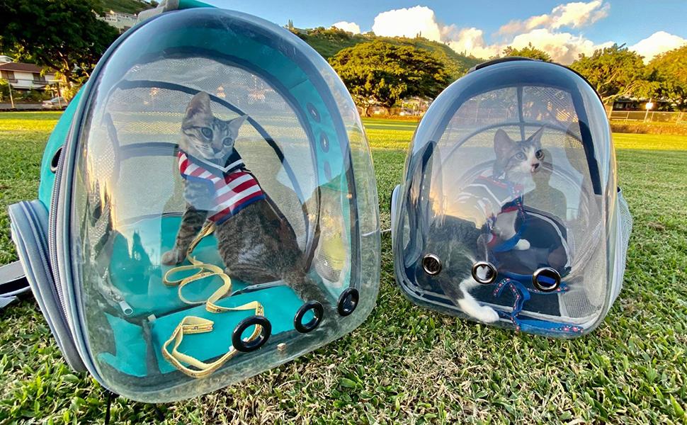 Рюкзак для кота, переноска для тварин до 9 кг, з переднім розширенням, чорний, для котів, цуценят, кроликів