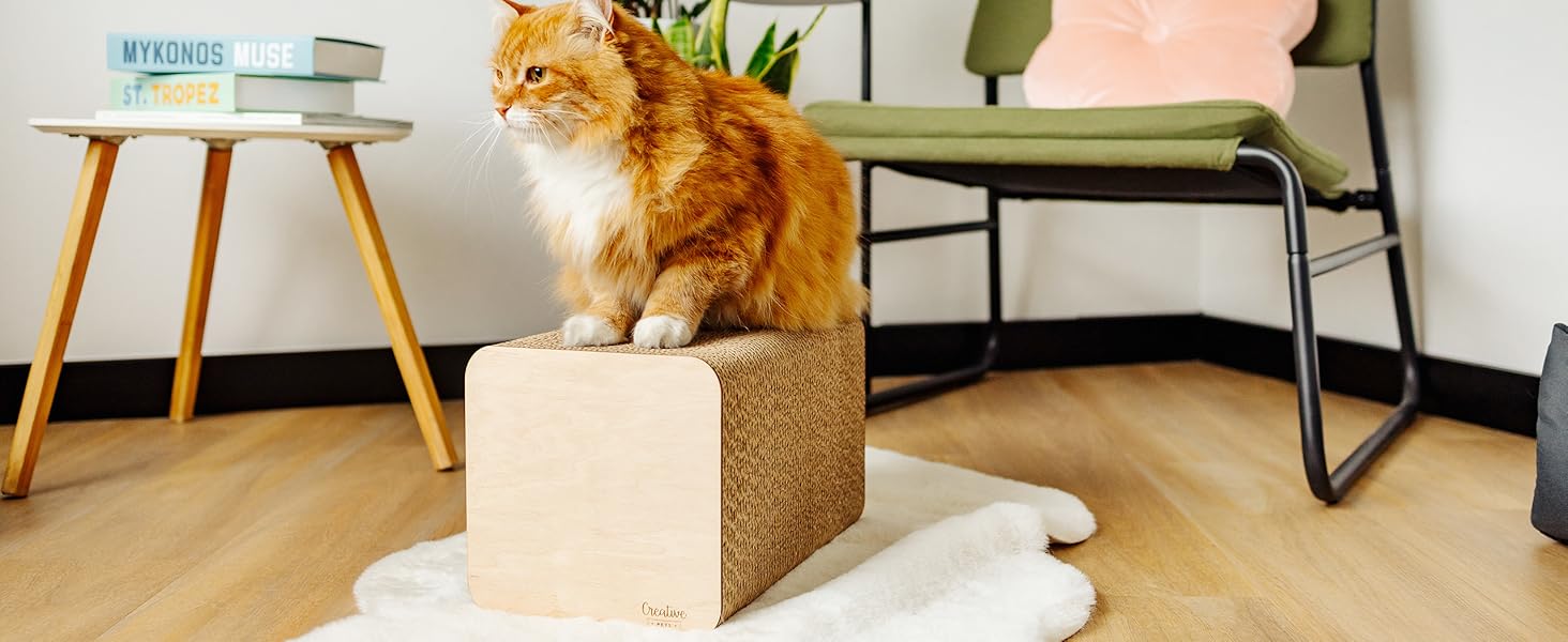 Кігтеточка для котів з гофрокартону | Міцна, велика, 2-в-1 (кігтеточка + будиночок) | 37 x 21,5 x 21,5 см