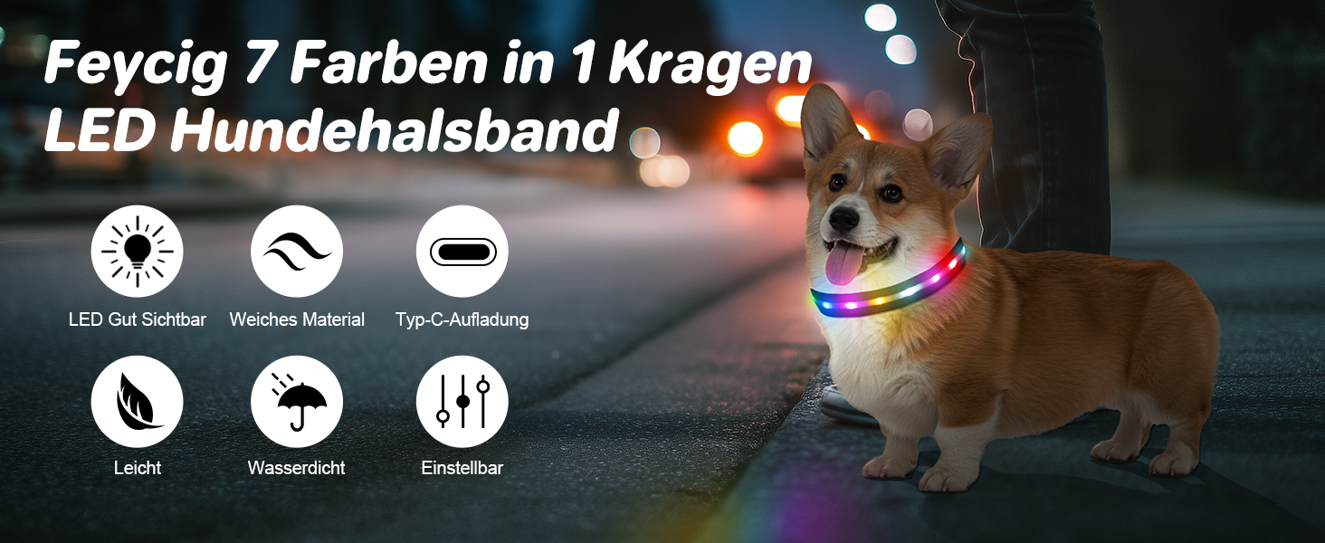 Світлодіодна нашийник для собак Feycig з USB зарядкою - водонепроникний, регульований, 3 режими, для малих, середніх та великих собак (Чорний, L(48-60см))
