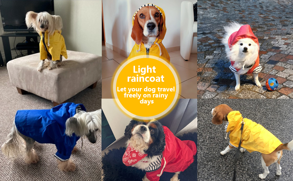 Преміум дощовик для собак Pethiy, водонепроникний дощовик з капюшоном, дощова куртка для собак, жовтий, M