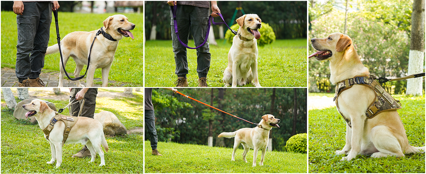 Тактична повідок для собак Joytale, 1.2м-1.8м, еластична (bungee), з 2 м'якими ручками, автофіксатор, без натягу для собак середніх, великих та екстра-великих порід, помаранчевий колір