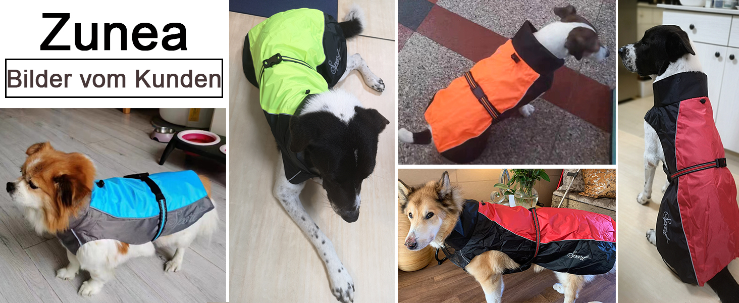 Водонепроникний дощовик для собак середніх та великих порід Zunea, відбиваючий, легкий, вітронепроникний, з сіткою всередині, захист від дощу, для прогулянок на відкритому повітрі, зелений, 3XL