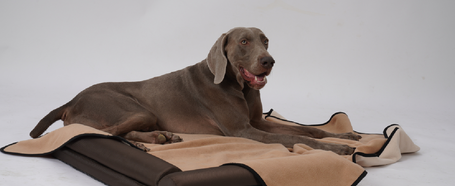 Водонепроникний коврик для собак PETTOM 152x127 см, м'який коврик для великих та маленьких собак, захисний коврик для дивана, ліжка, автокрісла, меблів - прання до 30°C (L, пісочний)