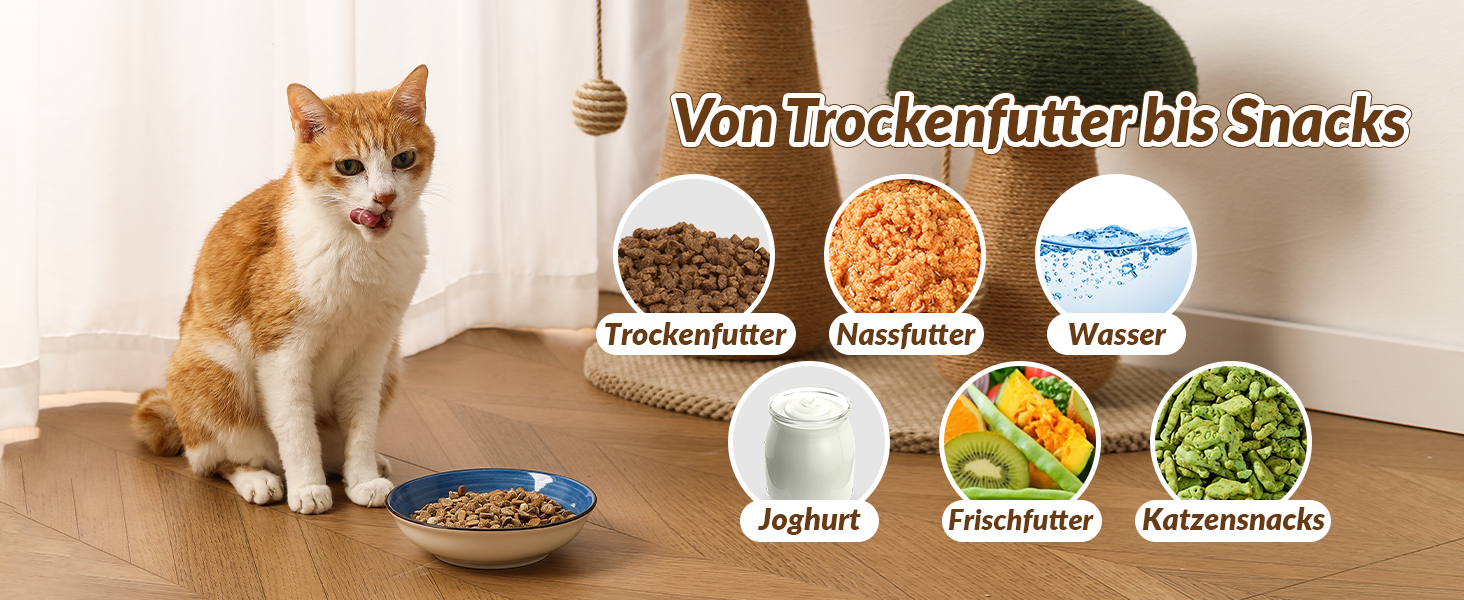 Набір мисок для котів з кераміки - 6 шт. Яскраві миски для котів з візерунком - миски для корму котів, 250 мл, колір 1