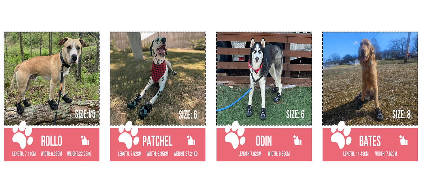 Взуття для собак Arblina Outdoor: водонепроникне, з регульованою застібкою, захист подушечок лап, для малих, середніх та великих собак