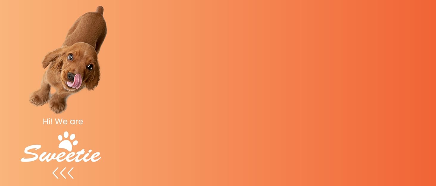 Нашийник для собак середнього розміру, світловідбиваючий, з підкладкою, регульований, металева застібка, кільце з алюмінію, колір Dreamy Aqua