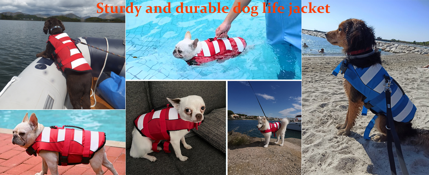 Жилет для плавання собак, блакитний, з Airbag та світловідбиваючими смугами (M)