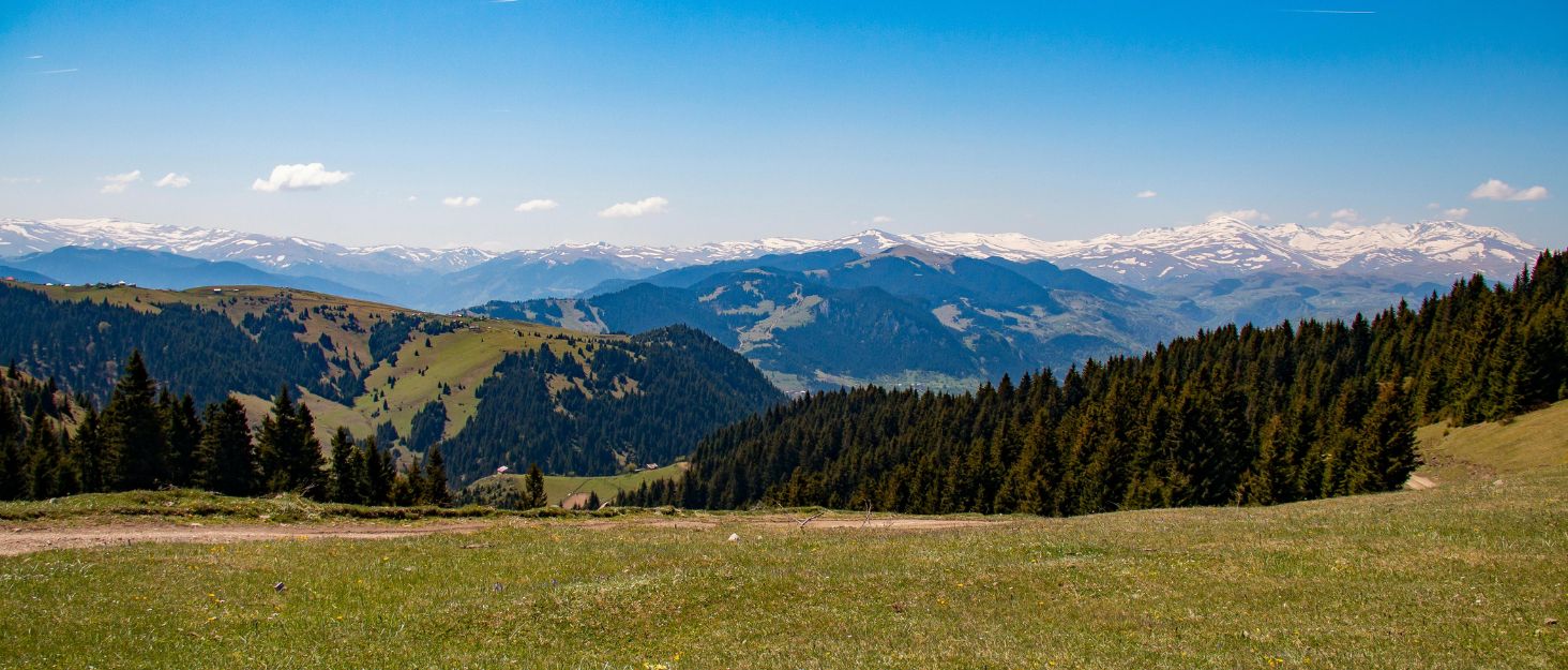 TIMBER RIDGE XXL: Садовий візок-трансформер з кишенями та тримачем для напоїв, для всіх типів місцевості, чорний