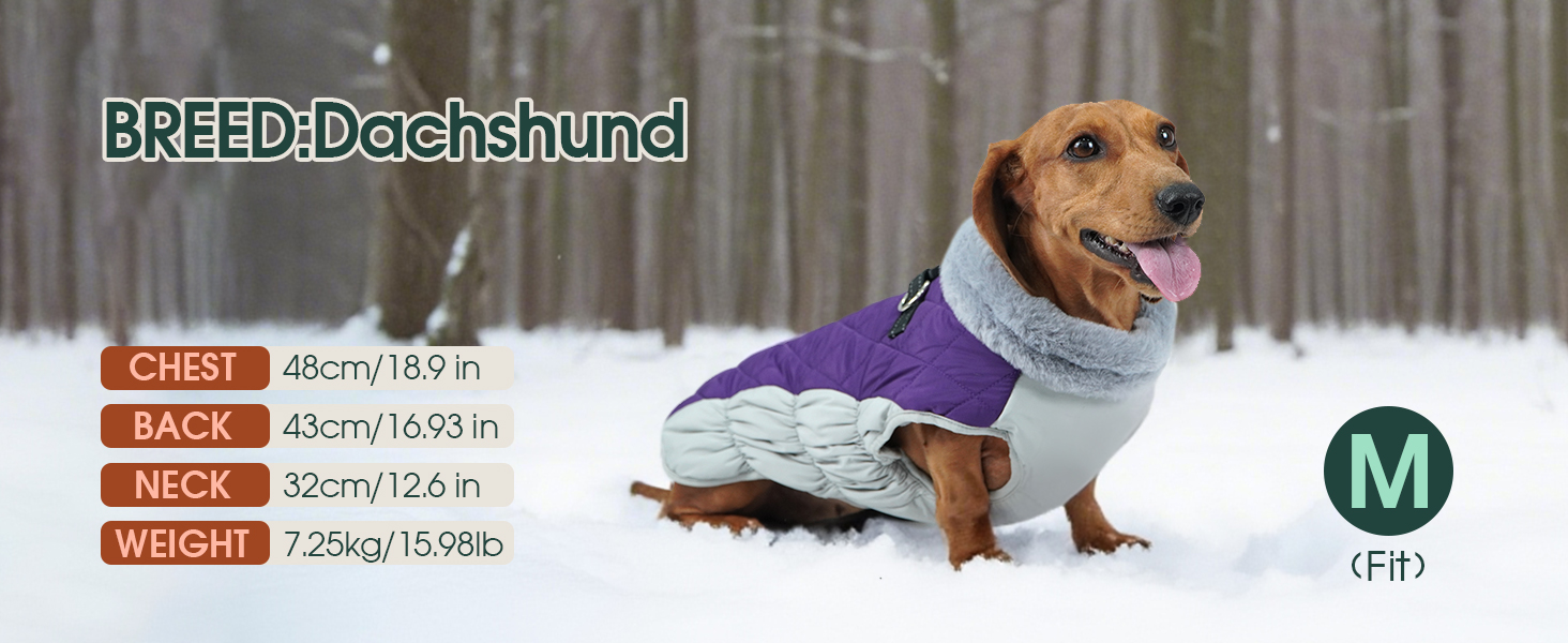 Водонепроникна куртка для собак великих порід Kuoser, тепла зимова жилетка для собак, чорна, XL