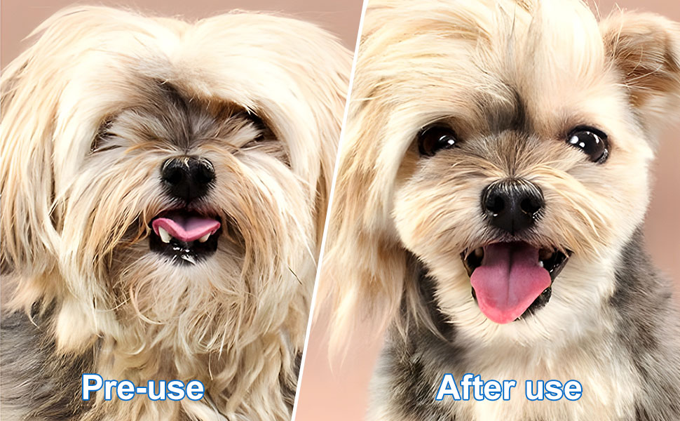 Набір професійних ножиць для собак 7 в 1 з нержавіючої сталі, з безпечними закругленими кінчиками. Включає ножиці для вирівнювання, вигнуті та прямі ножиці, гребінець для грумінгу. Підходить для собак, котів та інших тварин