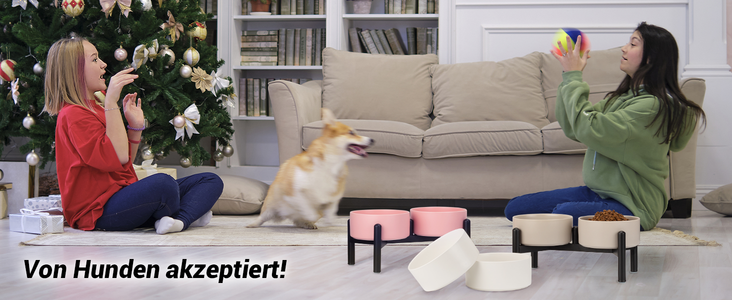 Набір мисок для собак на підставці: 2 миски з кераміки з нержавіючою підставкою, 850 мл, сірий колір. Ідеально для маленьких та середніх собак