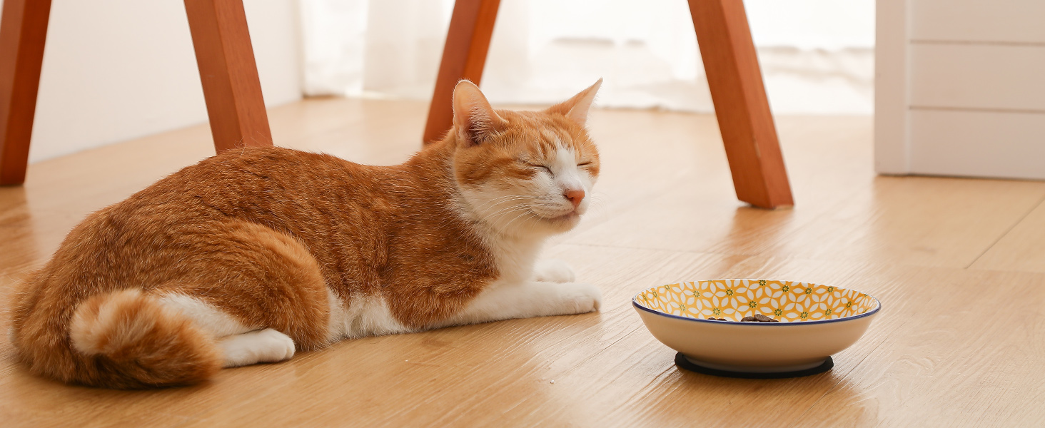 Набір мисок для котячого корму Napf Katze з кераміки, набір 6 шт. з антиковзною підкладкою, об'єм 250 мл, серія