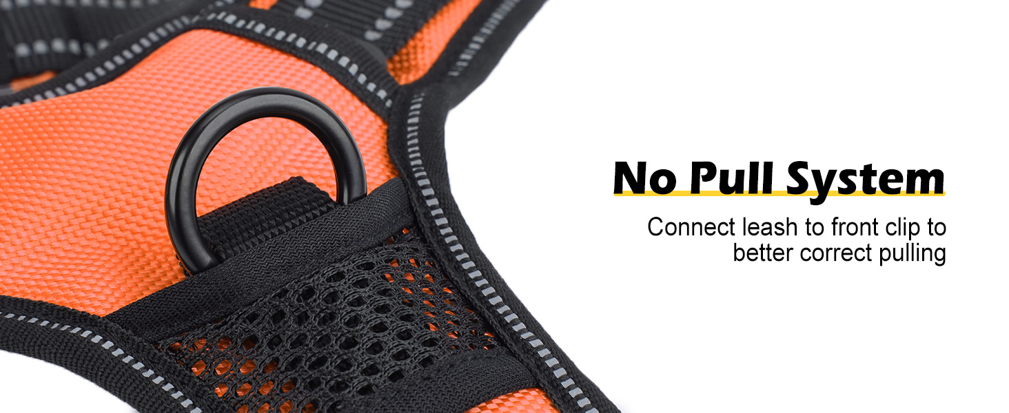 Світловідбиваючий нашийник для собак Joytale з LED, для середніх та великих собак, без натягування, з ручкою, регульований, для нічних прогулянок, зелений/помаранчевий, M/XL