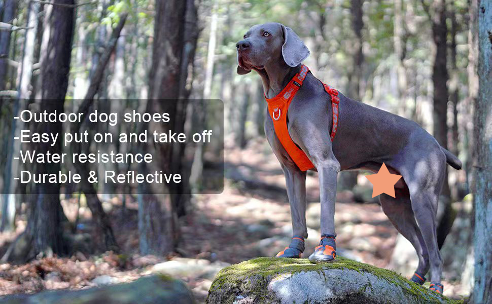 Водонепроникні чоботи для собак Truelove, 4 шт. в упаковці, зелені, з світловідбиваючими ременями