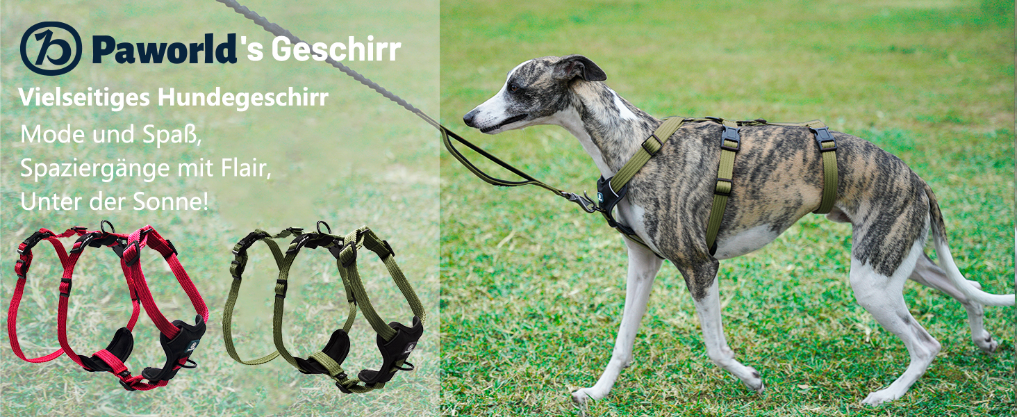 Шлейка для собак Paworld, анти-тяга, шлейка від паніки, анти-вислизання, регульована, дихаюча жилетка для собак маленьких, середніх та великих розмірів (XL) Extra Large (упаковка 1), колір: зелений