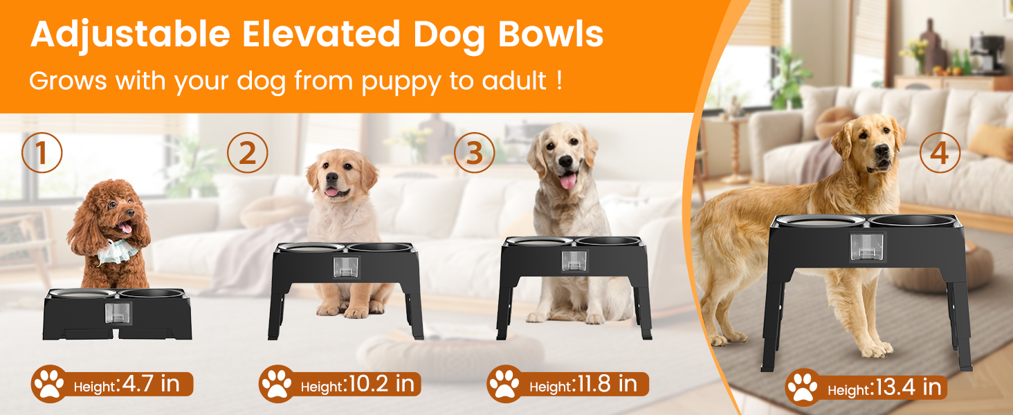 Підвищені годівниці для собак з нержавіючої сталі, без розбризкування, з підставкою, регульована висота, для маленьких, середніх та великих собак та котів