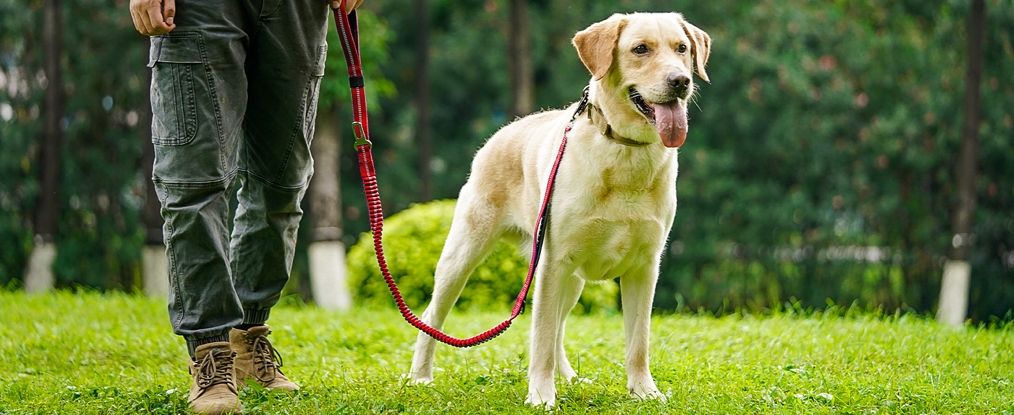Тактична повідок для собак Joytale, еластична (bungee) повідок з 2 м'якими ручками, автофіксатор, повідок без ривка для собак середніх, великих та екстра-великих порід (1.2м-1.8м, червона)