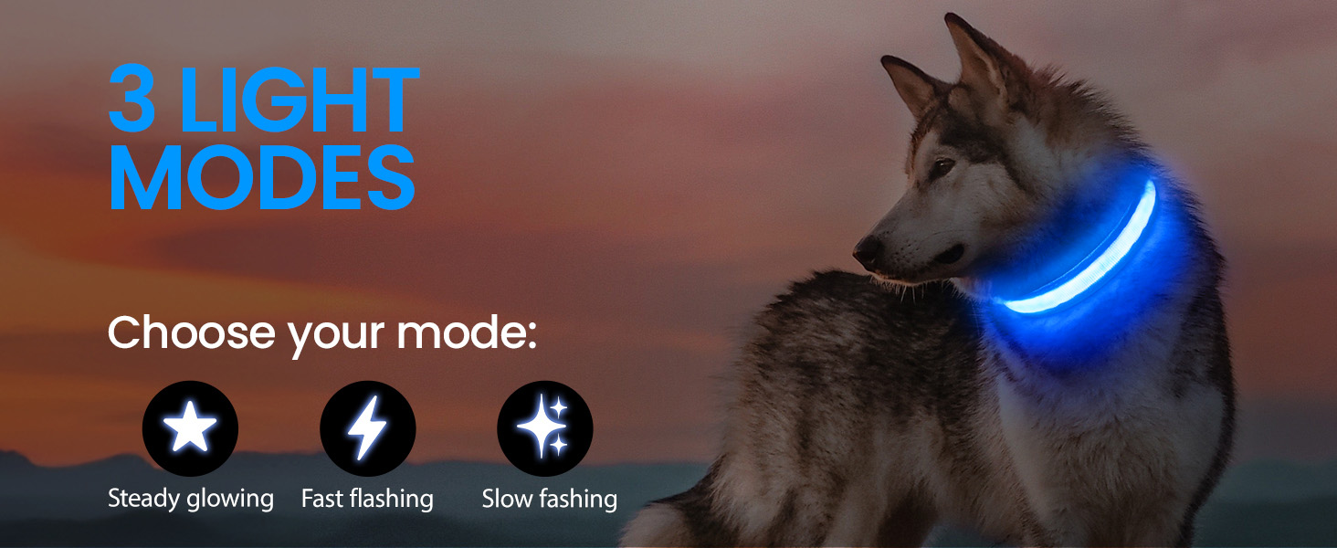 Світловідбиваючий нашийник для собак ASBRILL з LED-підсвічуванням, USB-C, водонепроникний, регульований, 3 режими світла, для собак малого, середнього та великого розміру (L, ЧЕРВОНИЙ)