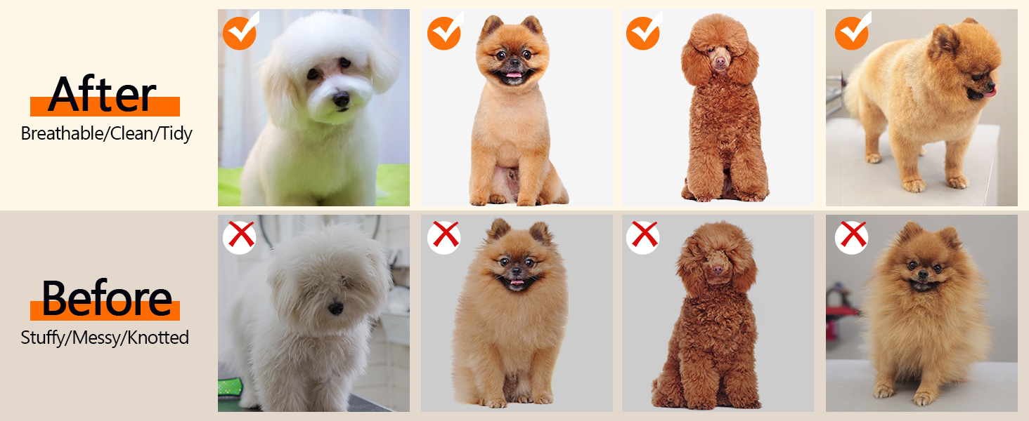 Професійний триммер для собак та котів YAZ EKY Leise - електрична машинка для стрижки з 4 насадками, для густого, кучерявого та довгого волосся