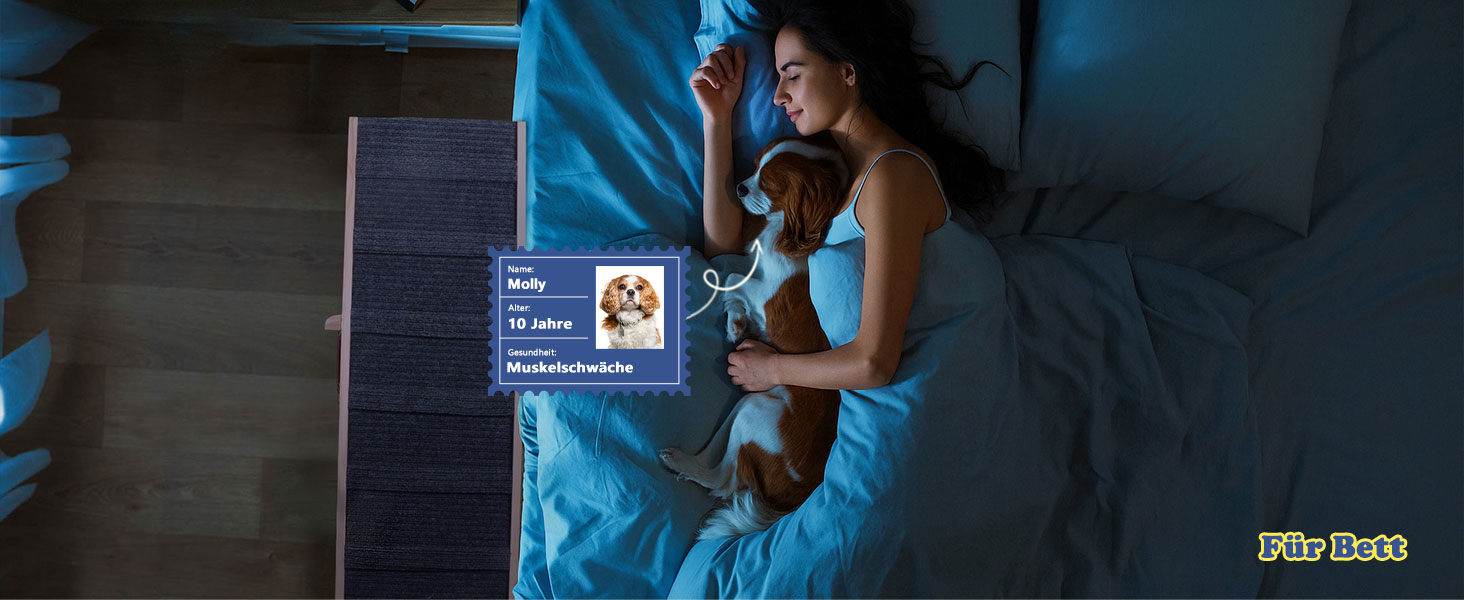 Рампа для собак та котів Hunderampe - складана, регульована, до 90 кг (внутрішнє використання до 35 кг)