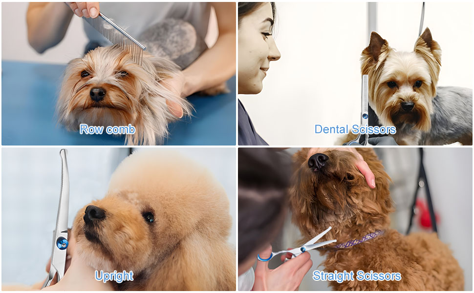 Набір професійних ножиць для собак 7 в 1 з нержавіючої сталі, з безпечними закругленими кінчиками. Включає ножиці для вирівнювання, вигнуті та прямі ножиці, гребінець для грумінгу. Підходить для собак, котів та інших тварин