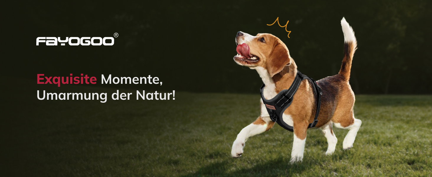 Шлейка для собак FAYOGOO з переднім кріпленням, не тягне, регульована, м'яка, з підкладкою, для малих, середніх та великих собак, синього кольору (S)