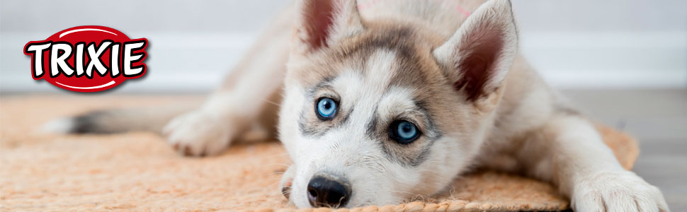 Ворота для собак TRIXIE регульовані, дерев'яні, 65–108 × 61 см, білі