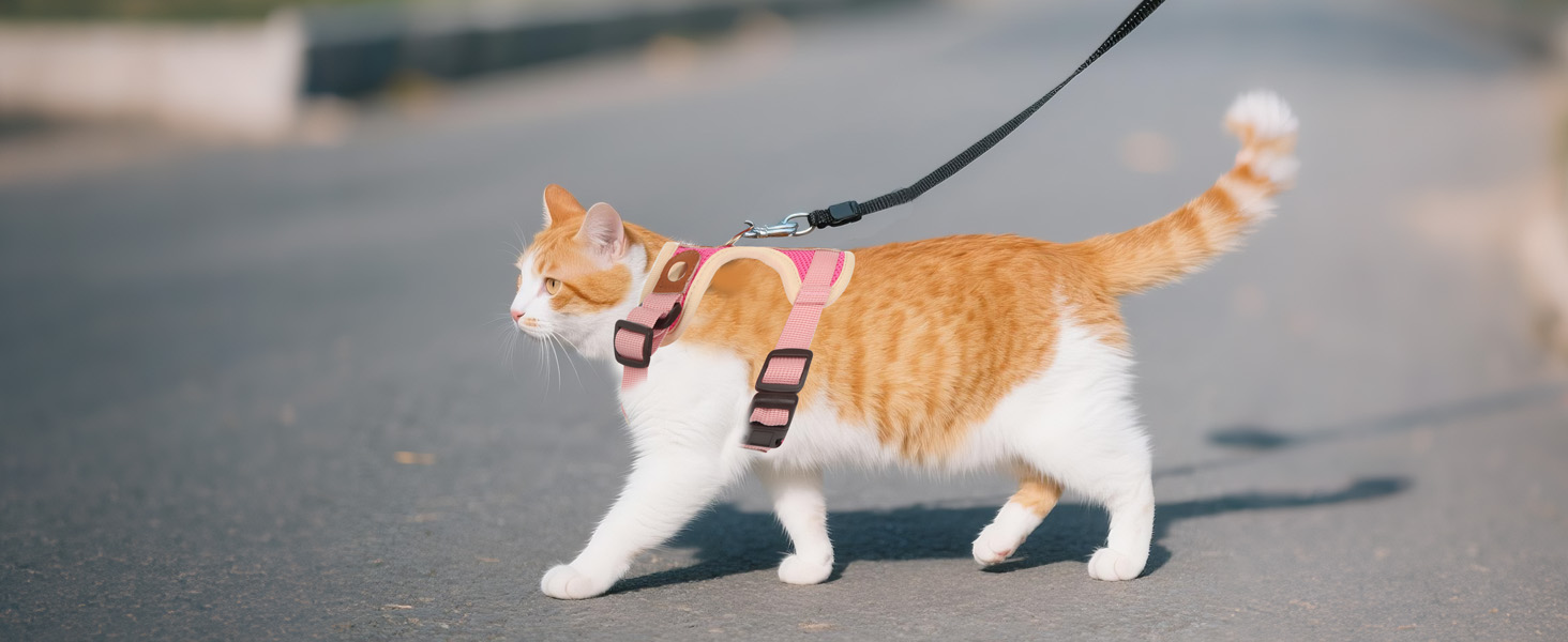 Набір для кота: шлейка та поводок-телескопічний, антизламання, регульована шлейка для кошенят та собак, рожевий