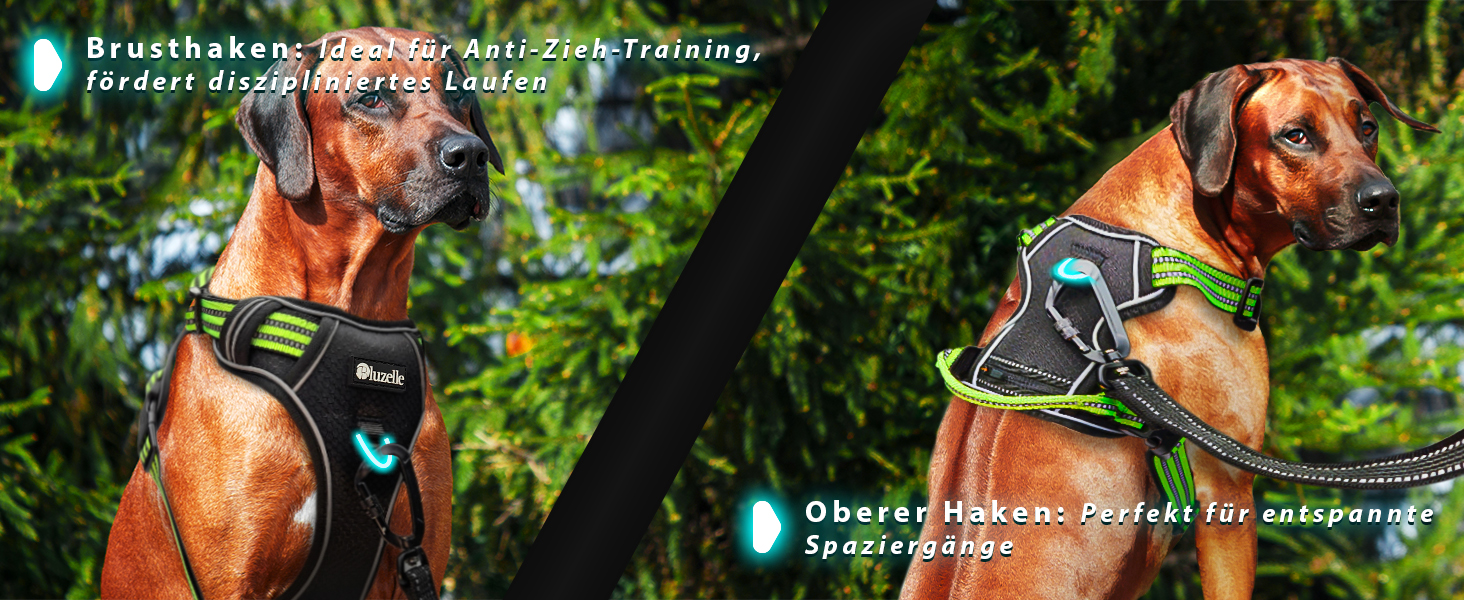 Шлейка для собак середніх порід Bluzelle з ручкою та кишенею для GPS-трекера, світловідбиваюча, дихаюча, зелена (L, чорний 3)