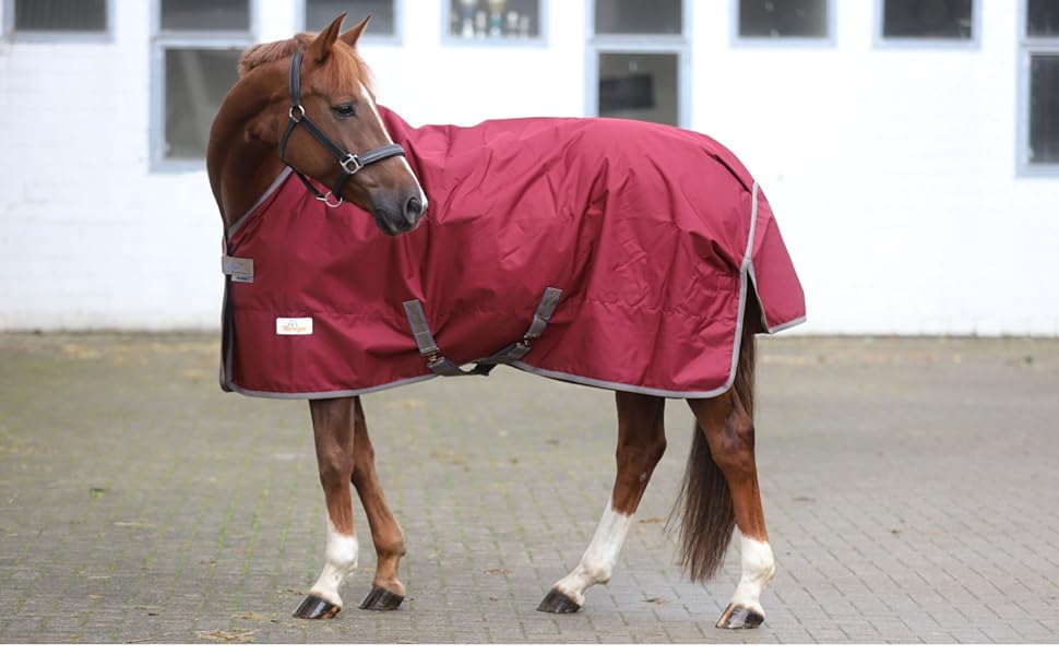 Водонепроникна попона для лошадей Marengos by Bucas Freedom Turnout 600D, демісезонна накидка з підкладкою та перехресними ременями, бордовий/темно-синій, 125 см (без наповнювача)
