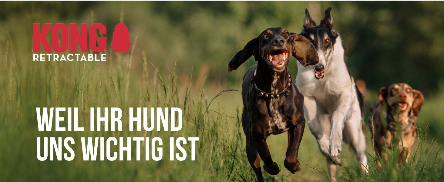 Рулетка для собак KONG Terrain, середнього розміру, фуксія