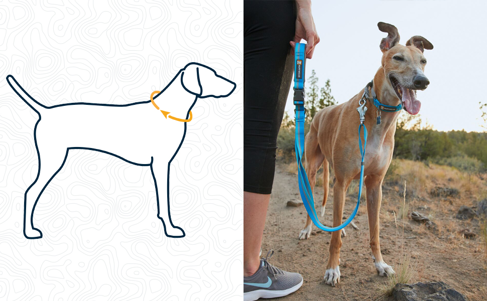 Нашийник для собак RUFFWEAR Web Reaction, гранітно-сірий, 43-51 см