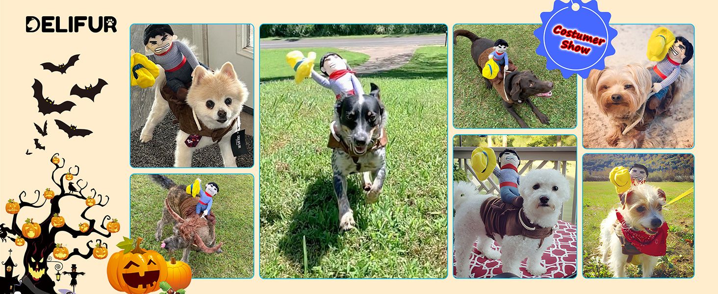 Костюм для собак Delifur: Ковбойський стиль, розмір XL