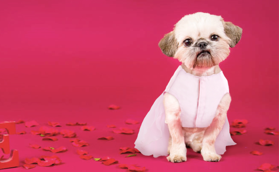 Сукня для собак на весілля: розкішний собачий балетний костюм принцеси, літня сукня для цуценят, сукня для собак на весілля з бантиком, для маленьких дівчаток (XS, Рожевий)