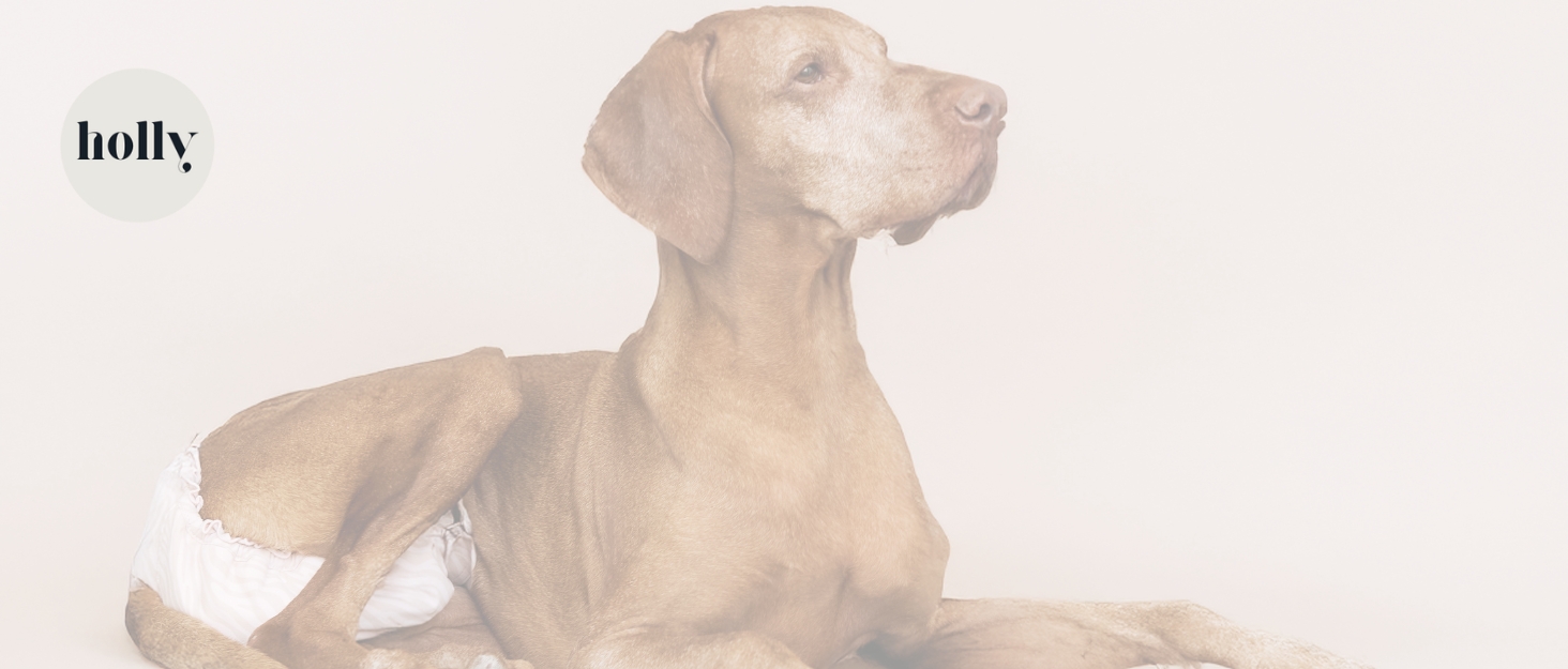 Крісло-лежанка для собак Holly Hundebett: міцний, зручний, з м'якої тканини Bouclé, Cocoon Design, підтримка шиї та хребта (S/M, кремовий)