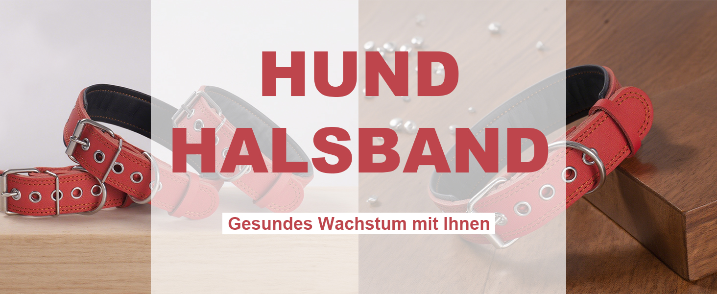 Нашийник для собак з натуральної шкіри, XL, червоний. Товстий, м'який, 5 см, для середніх та великих порід