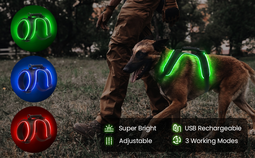 Світлодіодне обіднє нашийник для собак Masbrill, світловідбиваючий, з регулюванням, з ручкою, для малих, середніх та великих собак (Чорний/Червоний, S)