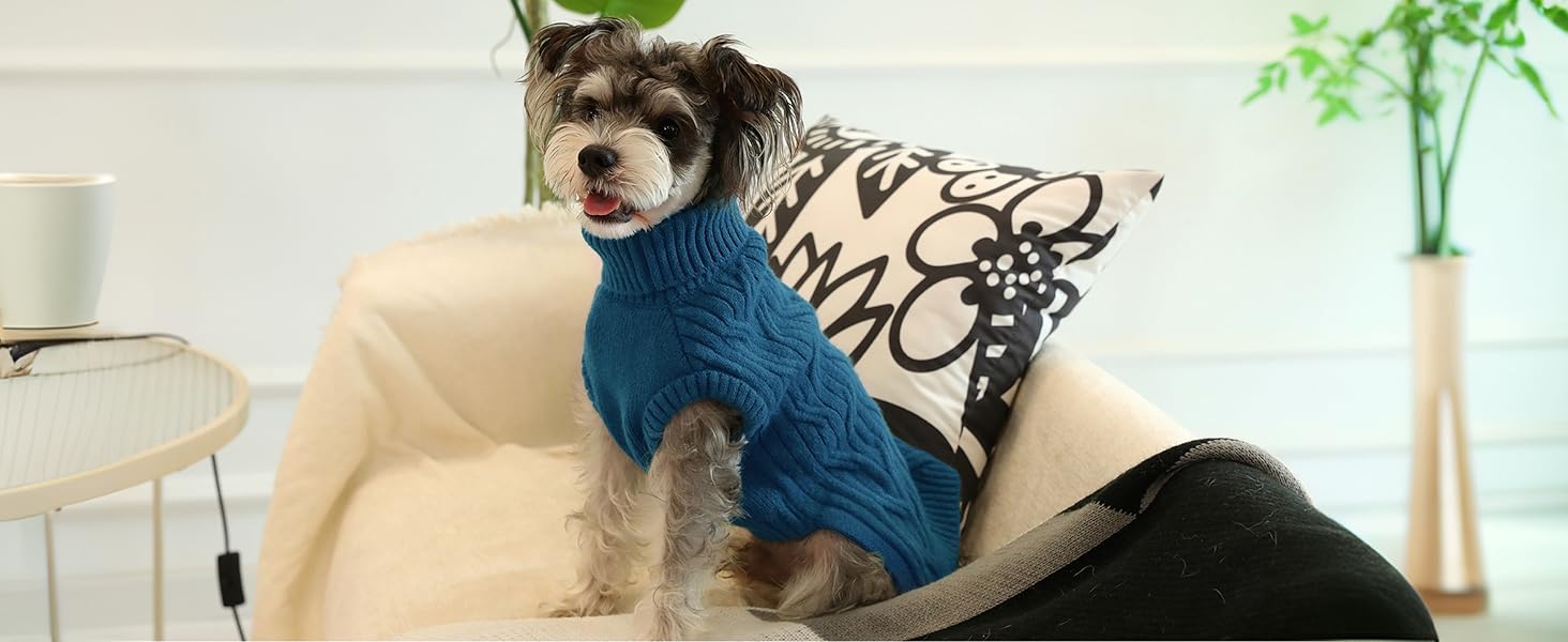 Пуловер для собак Queenmore Dackel, в'язаний водолазка для собак, підходить для Джек Рассел, Бульдог, Коргі, Французький Бульдог, Мопс (Синій, M)