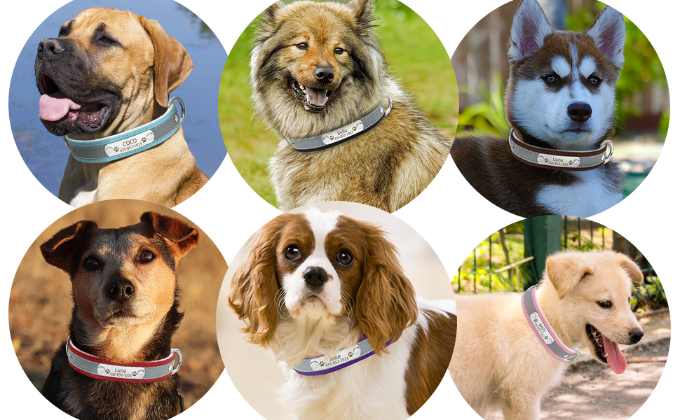 Іменний світловідбиваючий нашийник та поводок для собак та котів Senristar, блакитний комплект. Персоналізований нашийник з гравіюванням, XS (ширина 1,5 см, обхват шиї 19-25 см)