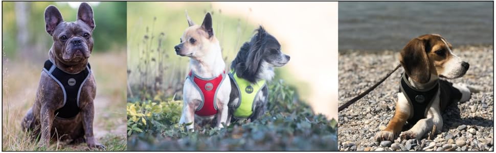 Шлейка для собак DDOXX відбиваюча Airmesh, регульована, для цуценят та собак всіх розмірів, XS, зелена (обхват грудей 28-33 см)